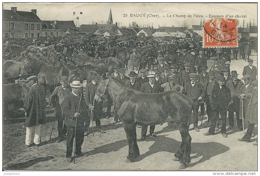 Baugy Le Champ De Foire. Examen D'un Cheval 1914 - Baugy