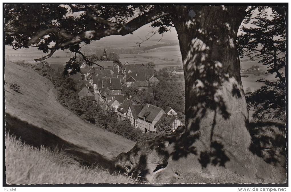 D-32816 Schieder- Schwalenberg Lippe - Gasthof Künstlerklause - Detmold