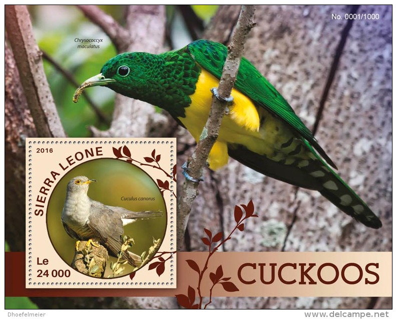 SIERRA LEONE 2016 ** Cuckoos Kuckucke Coucous S/S - OFFICIAL ISSUE - A1613 - Cuco, Cuclillos