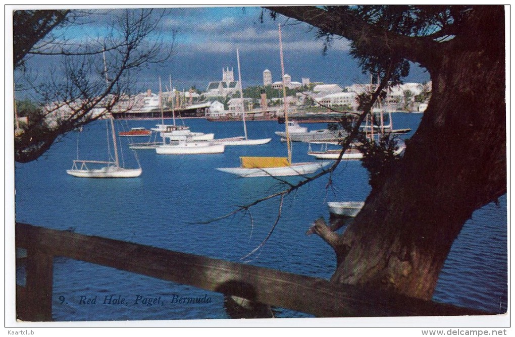 Bermuda: Red Hole, Paget - Bermuda