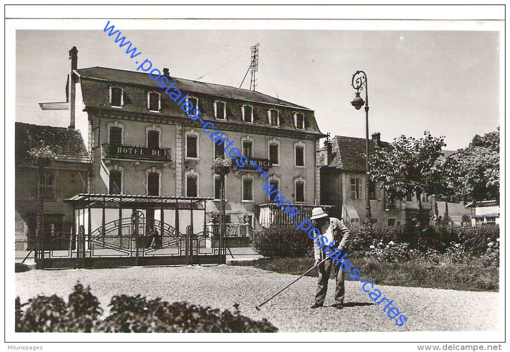 74 HAUTE SAVOIE Jardinier Ratisseur à L'Hôtel Du Commerce De RUMILLY+Daguin - Rumilly