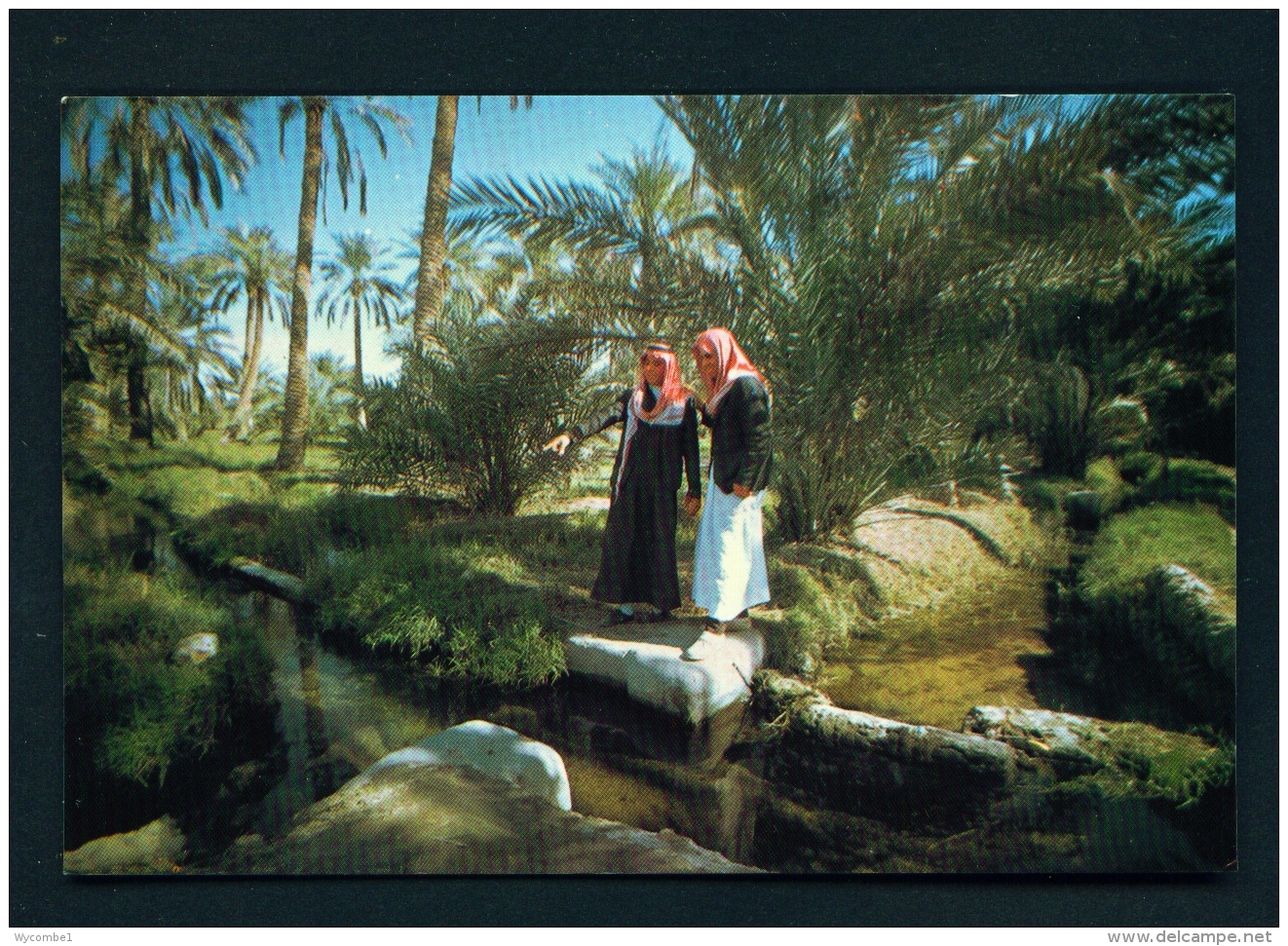 SAUDI ARABIA  -  Al-Hassa  Used Postcard As Scans - Saudi Arabia