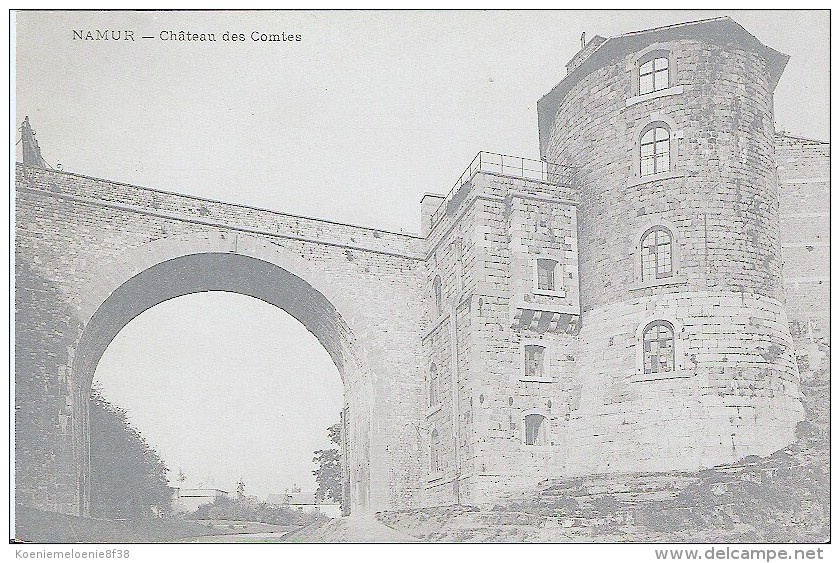 NAMUR  -  CHÂTEAU DE COMTES - Autres & Non Classés