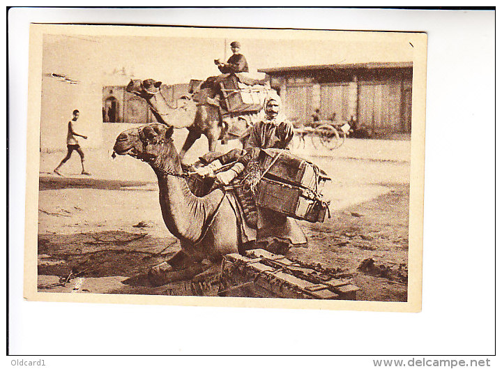 Middle Central Asia Russian Empire TURKMENISTAN Ashkhabad TYPES CAMELS - Turkmenistan