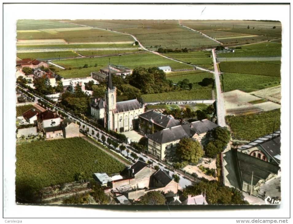 CP -AVIZE (51) AVENUE DE LA GARE ET L HOPITAL  VUE AERIENNE - Autres & Non Classés