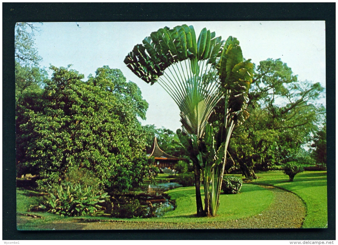 INDONESIA  -  Bogor  Unused Postcard - Indonesia