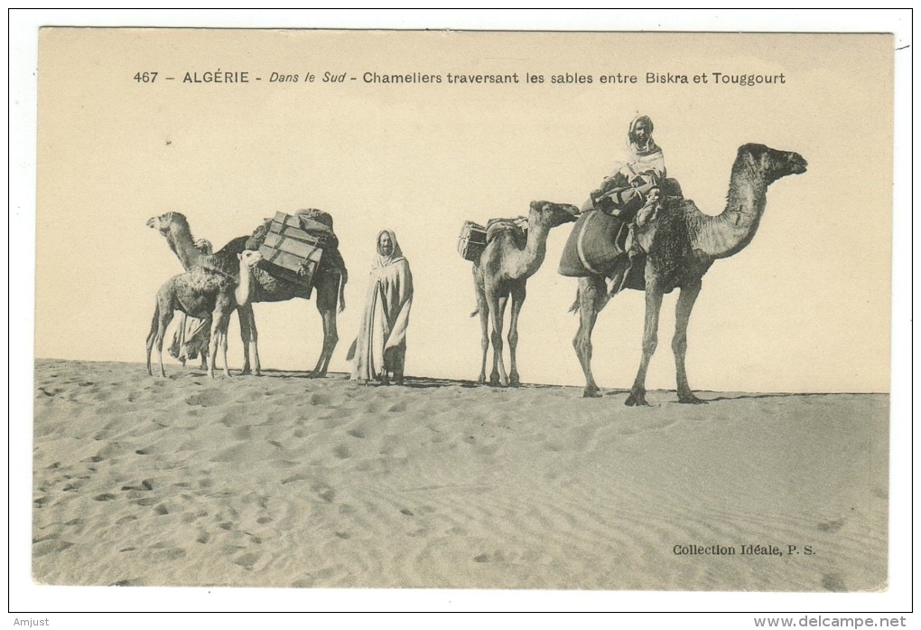 Algérie // Dans Le Sud - Chameliers Traversant Les Sables Entre Biskra Et Touggourt - Scènes & Types