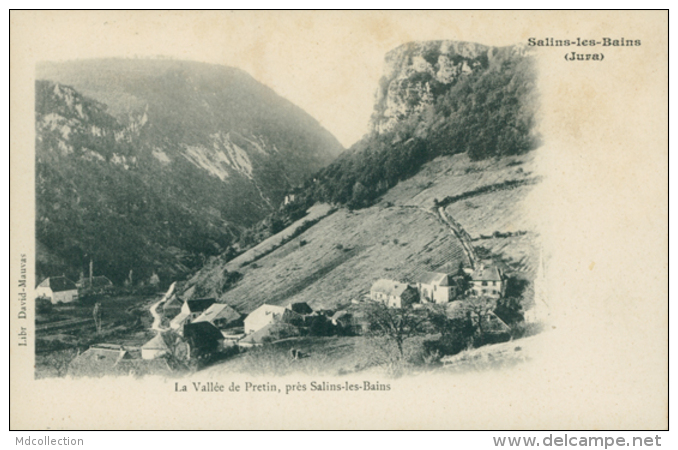 39 SALINS LES BAINS / Vallée De Pretin / - Autres & Non Classés