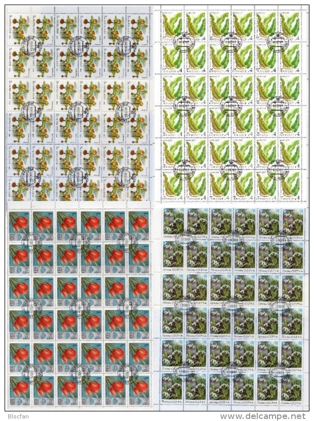 Seerose Sowjetunion 4722,5278,5383,5729+KB O 44€ Schneeglöckchen Farn Tulpe Hb Nature M/s Flora Sheetlet Bf SU CCCP USSR - Geneeskrachtige Planten
