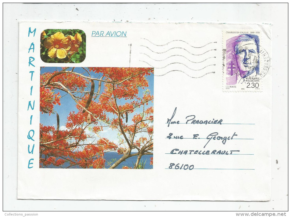 Enveloppe MARTINIQUE , 1990 , FORT DE FRANCE MESSAGERIE , 2 Scans - 1961-....