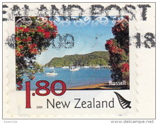 Kia Ora - The New Zealand Kiwi Bird - Nuova Zelanda