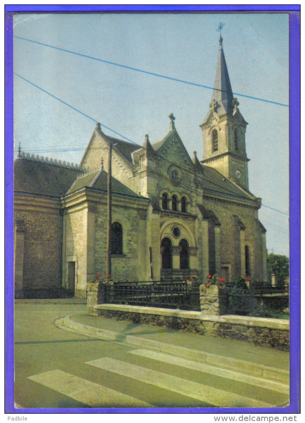 Carte Postale 61. Damigni  L'église    Trés Beau Plan - Damigny