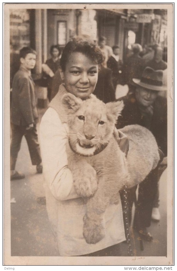 Carte Photo 13 MARSEILLE Canebière Lion Lionceau Pompom - Lions