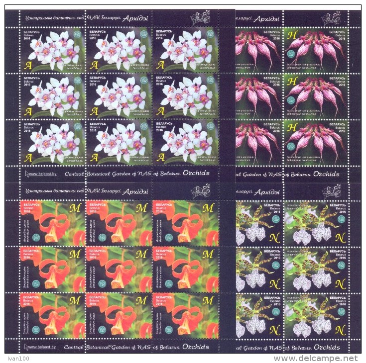 2016. Belarus, RCC, Central Botanical Garden, Orchids, 4 Sheetlets, Mint/** - Belarus