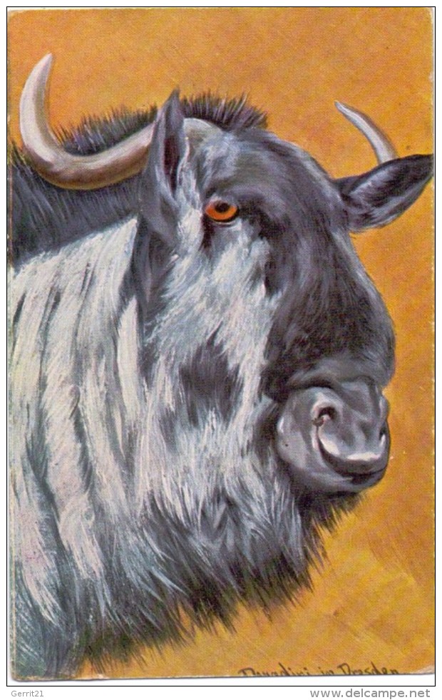 KÜNSTLER - ARTIST - ANTONIO DONADINI - GNU - Donadini, Antonio