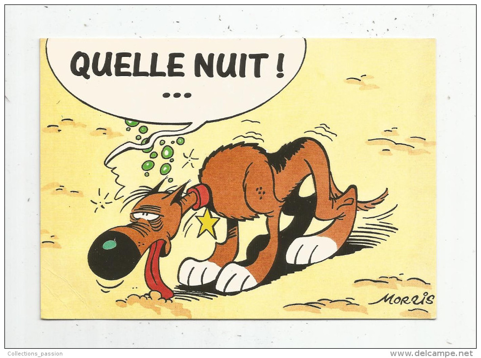 Cp , Bandes Dessinées , LUCKY LUKE , 1995 , N° 22 , Ed : Geyer , Quelle Nuit ! , Morris - Bandes Dessinées