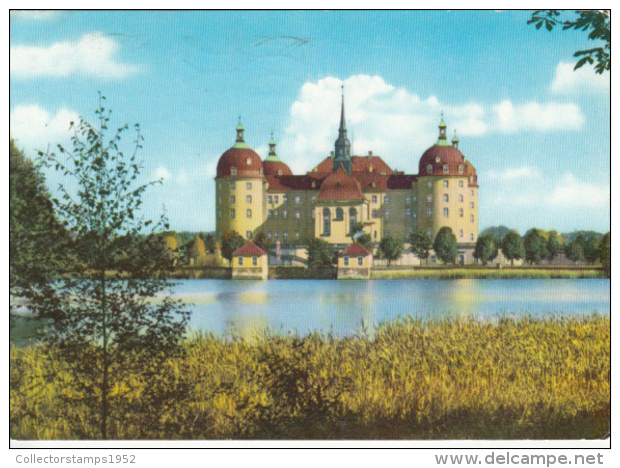 40528- MORITZBURG- THE CASTLE, LAKE - Moritzburg