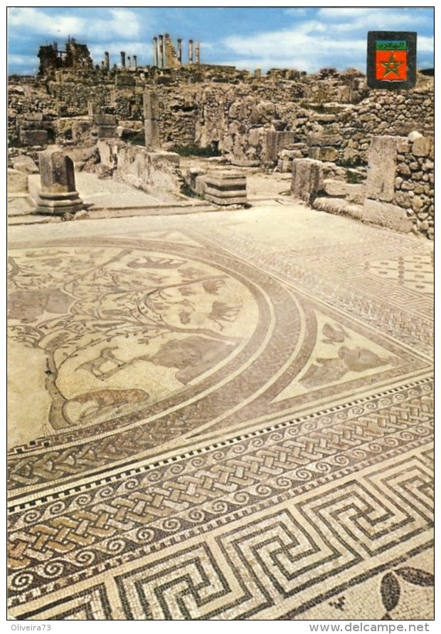 MAROCCO - MAROC, VOLUBILIS, Mosaico De La Casa De Orfeo, 2 Scans - Meknès