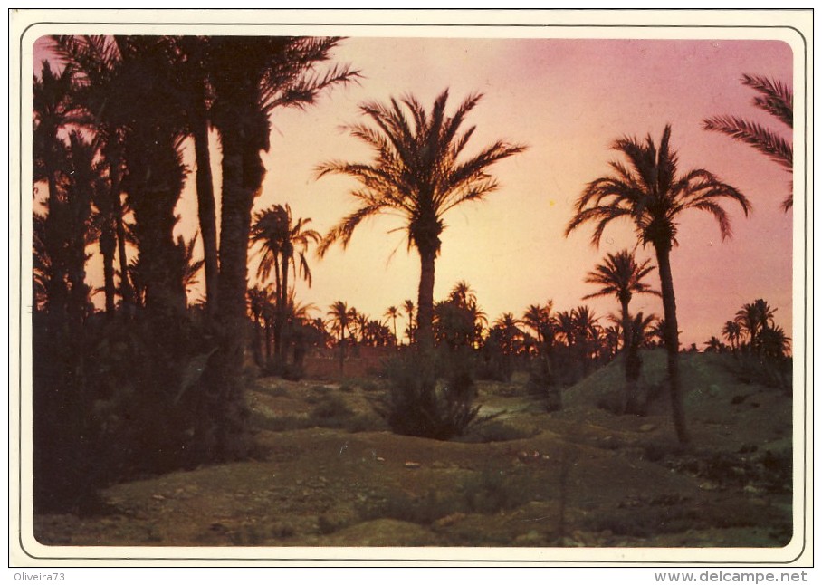 MAROCCO - MAROC, TYPIQUE, 2 Scans - Meknès