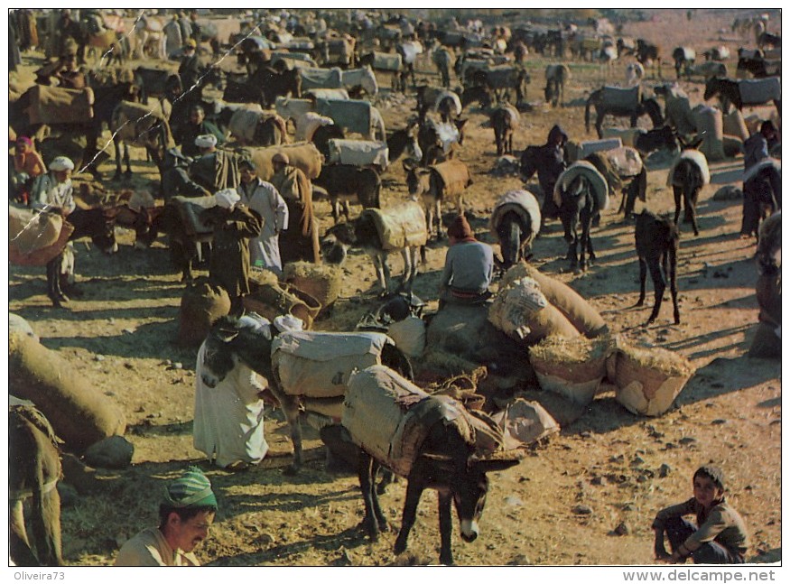 MAROCCO - MAROC, TYPIQUE, SOUK, 2 Scans - Meknès