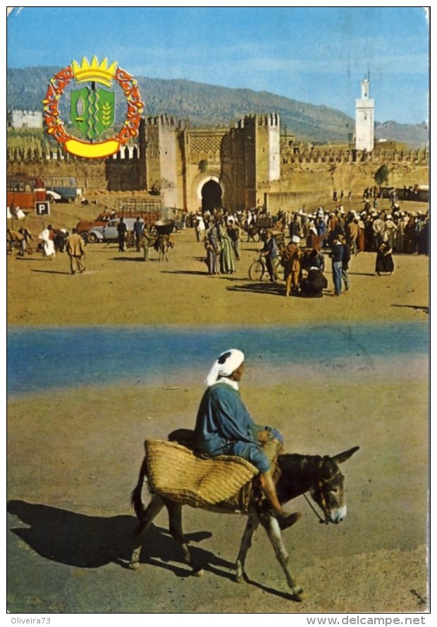 MAROCCO - MAROC, FES, Pittoresque, 2 Scans - Meknès