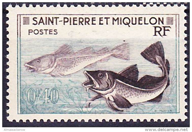 2016-0318 SPM Yvert 353 Neuf Sans Trace De Charnière ** - Neufs