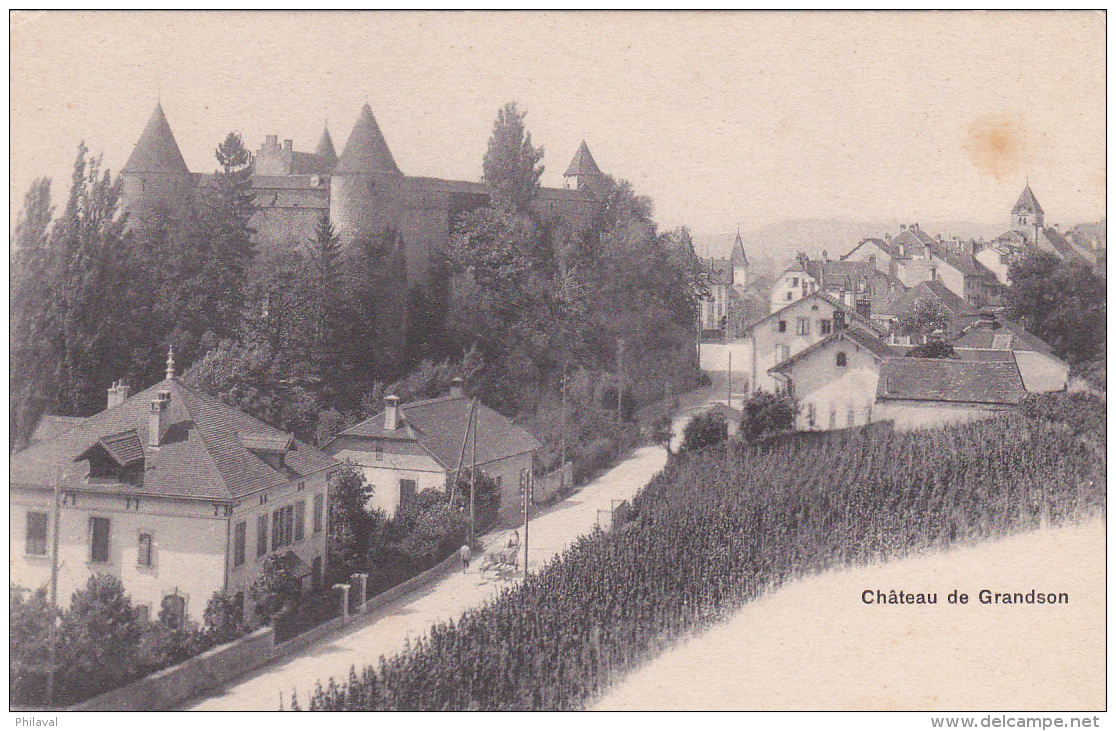 Château De Grandson - Vue Non Conventionnelle - Grandson