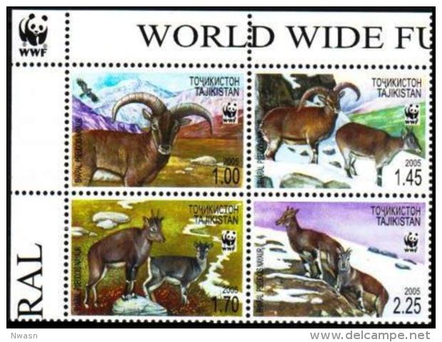WWF Tajikistan 2005 Bharal MNH 2x2 Block - Unused Stamps