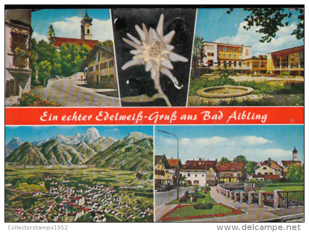 40670- BAD AIBLING- SPA TOWN, HOTEL, GUEST HOUSES, PANORAMA, REAL EDELWEISS FLOWER - Bad Aibling