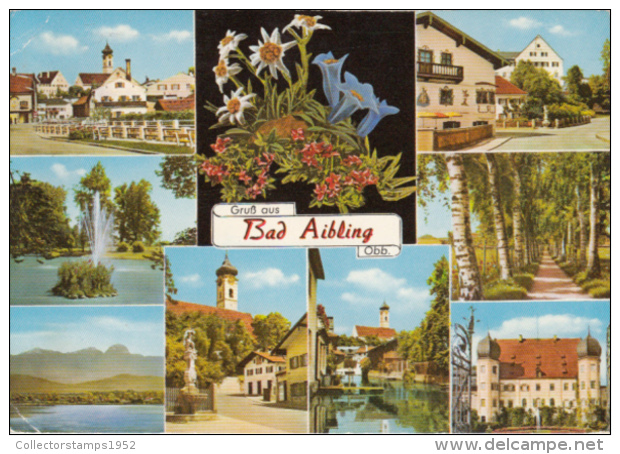 40674- BAD AIBLING- SPA TOWN, SQUARE, RAILWAY STREET, PARK, CASTLE, FLOWERS - Bad Aibling