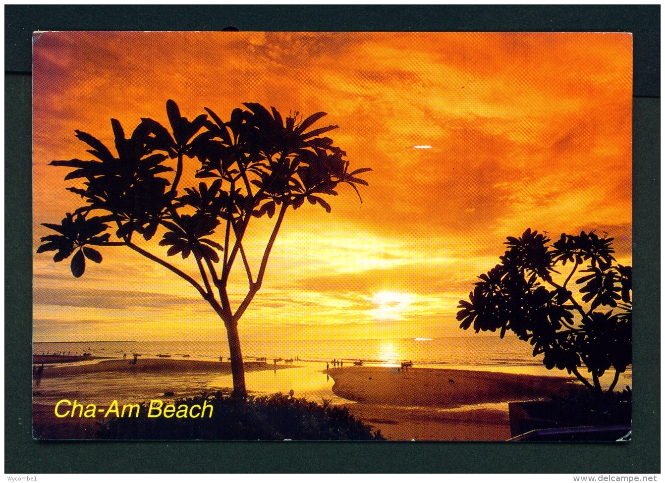 THAILAND  -  Phetchaburi  Cha-Am Beach  Used Postcard As Scans - Thailand