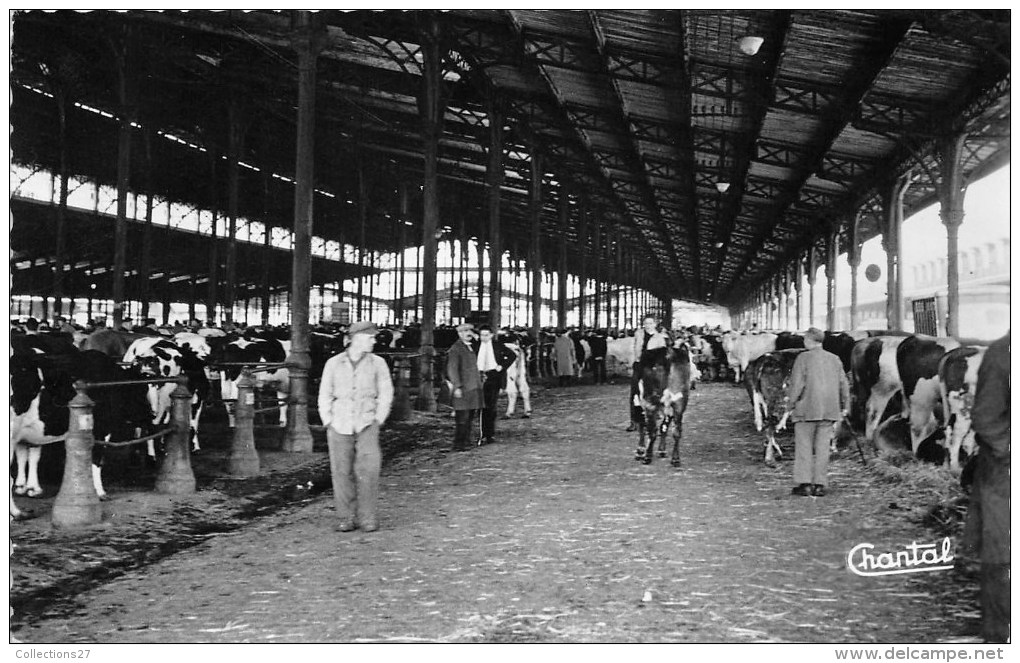 75019 - MARCHE DE LA VILLETTE - HALL AUX BOEUFS - Arrondissement: 19