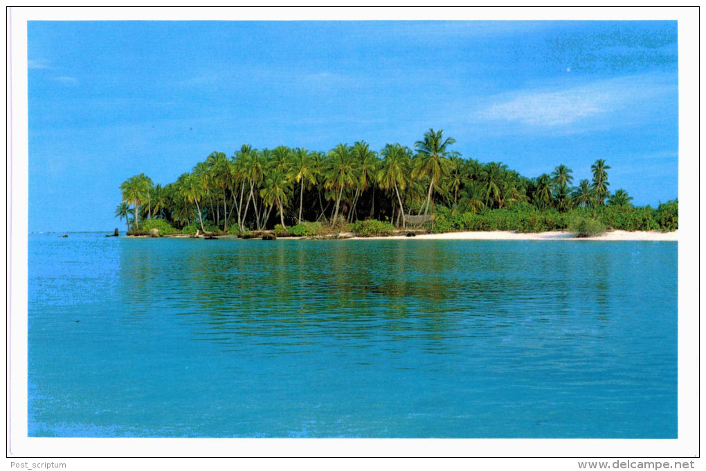 Asie - Maldives Coconut Palms Set In Cool Aquamarine - Maldives