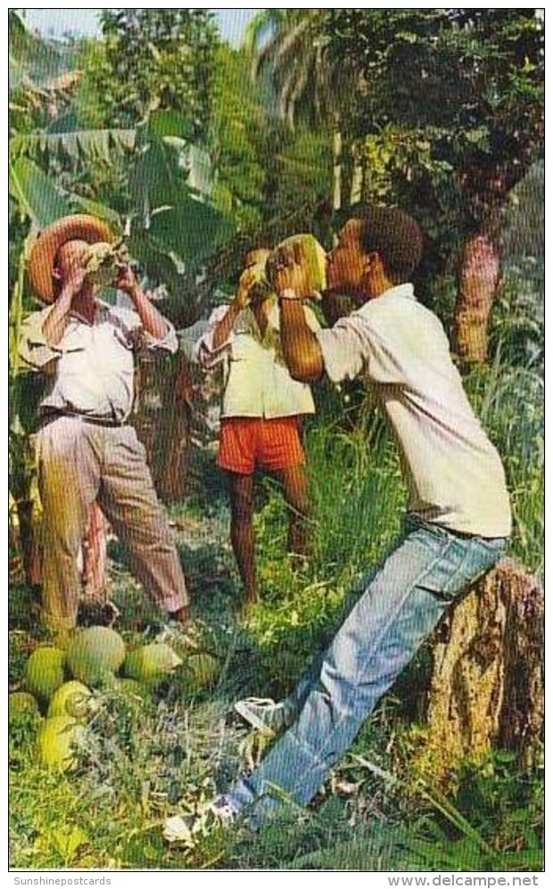 Martinique Young Men Drinking Coconut Milk - Saint-Martin