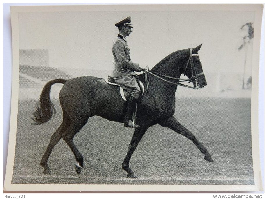 VIGNETTE JEUX OLYMPIQUES J.O BERLIN OLYMPIA 1936 PET CREMER DUSSELDORF BILD 67 EQUITATION OFFICIER ALLEMAND - Trading Cards