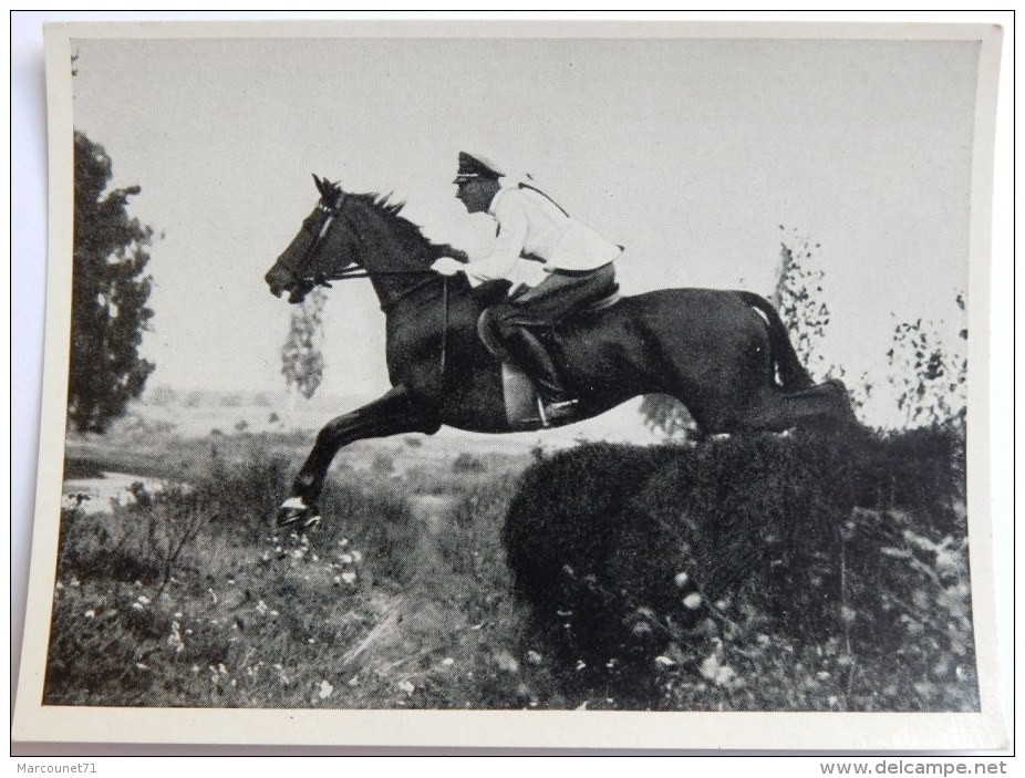 VIGNETTE JEUX OLYMPIQUES J.O BERLIN OLYMPIA 1936 PET CREMER DUSSELDORF BILD 70 EQUITATION OFFICIER ALLEMAND - Trading Cards