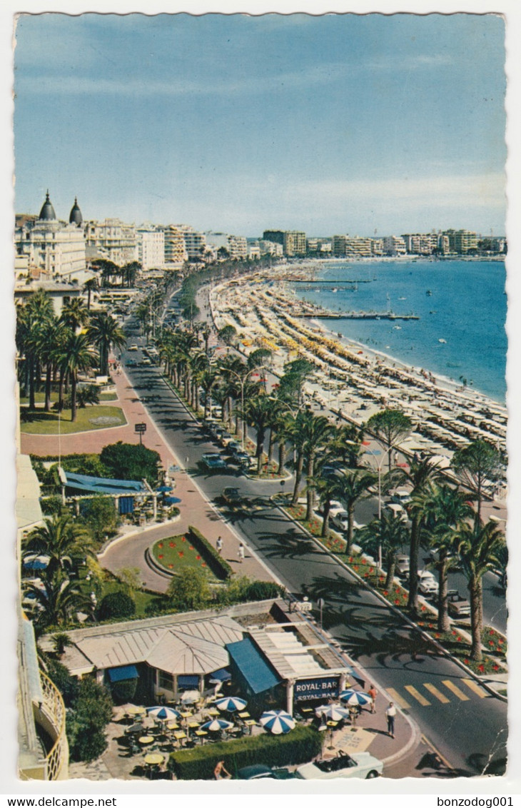 Boulevard De La Croisette, Cannes, France - Cannes