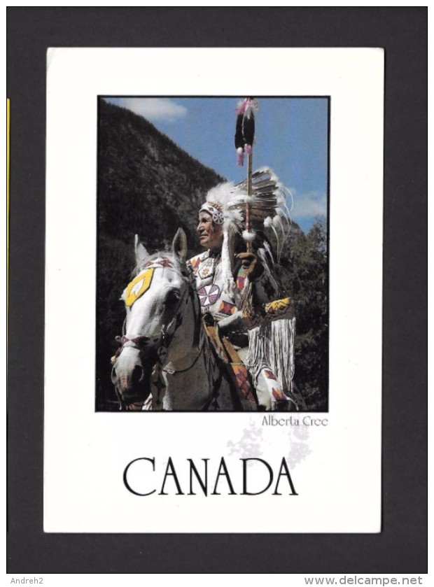 INDIENS DU QUÉBEC - ALBERTA CREE - PHOTOGRAPH JOHN DE VISSER - 17 X 12 Cm - 6¾ X 4¾ Po - PAR POSTCARD FACTORY - Indiens D'Amérique Du Nord