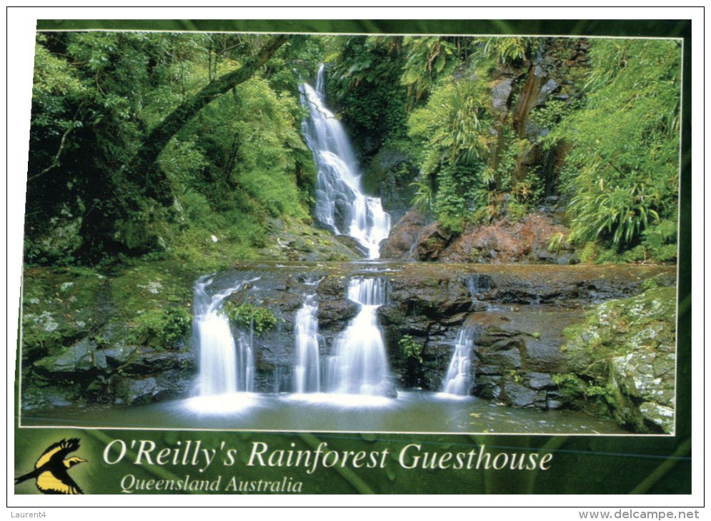 (888) Australia - QLD - Rainforest Waterfall - Atherton Tablelands