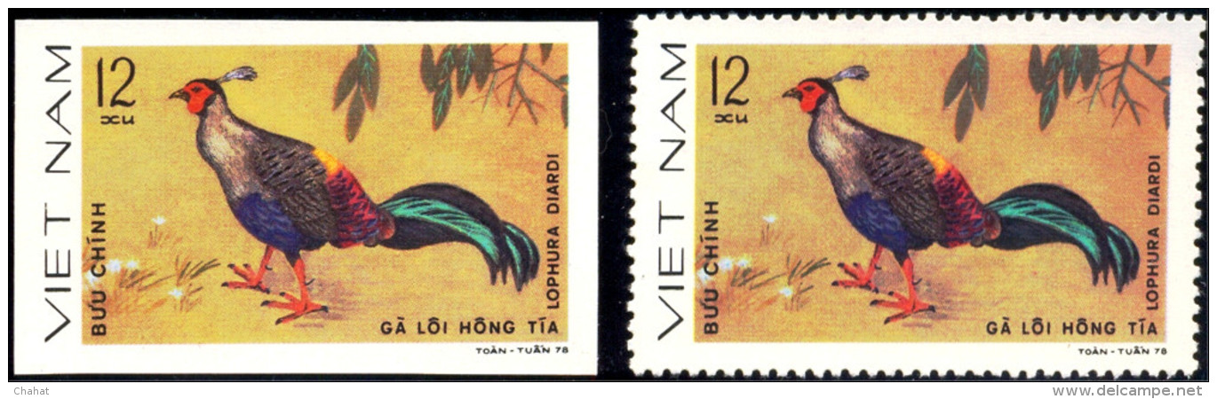 BIRDS-PHEASANTS-SIAMESE FIREBACK- IMPERF & PERF-VIETNAM-1979-MNH-EXTREMELY SCARCE-D1-6 - Gallinacées & Faisans