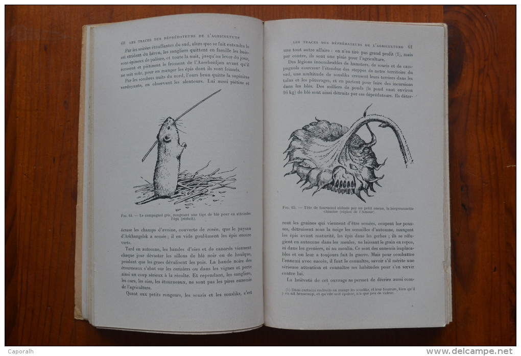 Manuel Du Trappeur. A.N. Forosov. La Faune Des Steppes Et Des Forêts De Russie. Payot. 1953. - Chasse/Pêche