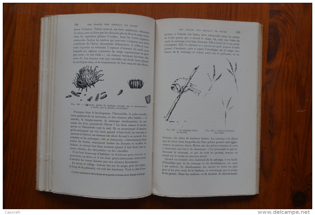 Manuel Du Trappeur. A.N. Forosov. La Faune Des Steppes Et Des Forêts De Russie. Payot. 1953. - Chasse/Pêche