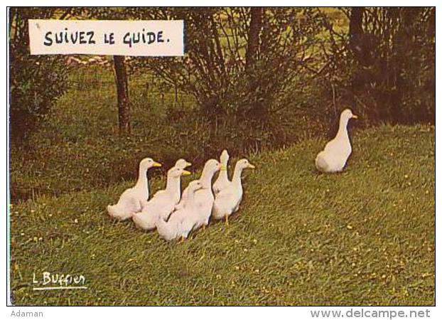Canard   H7H         Humour.  Suivez Le Guide ( Buffier ) - Elevage