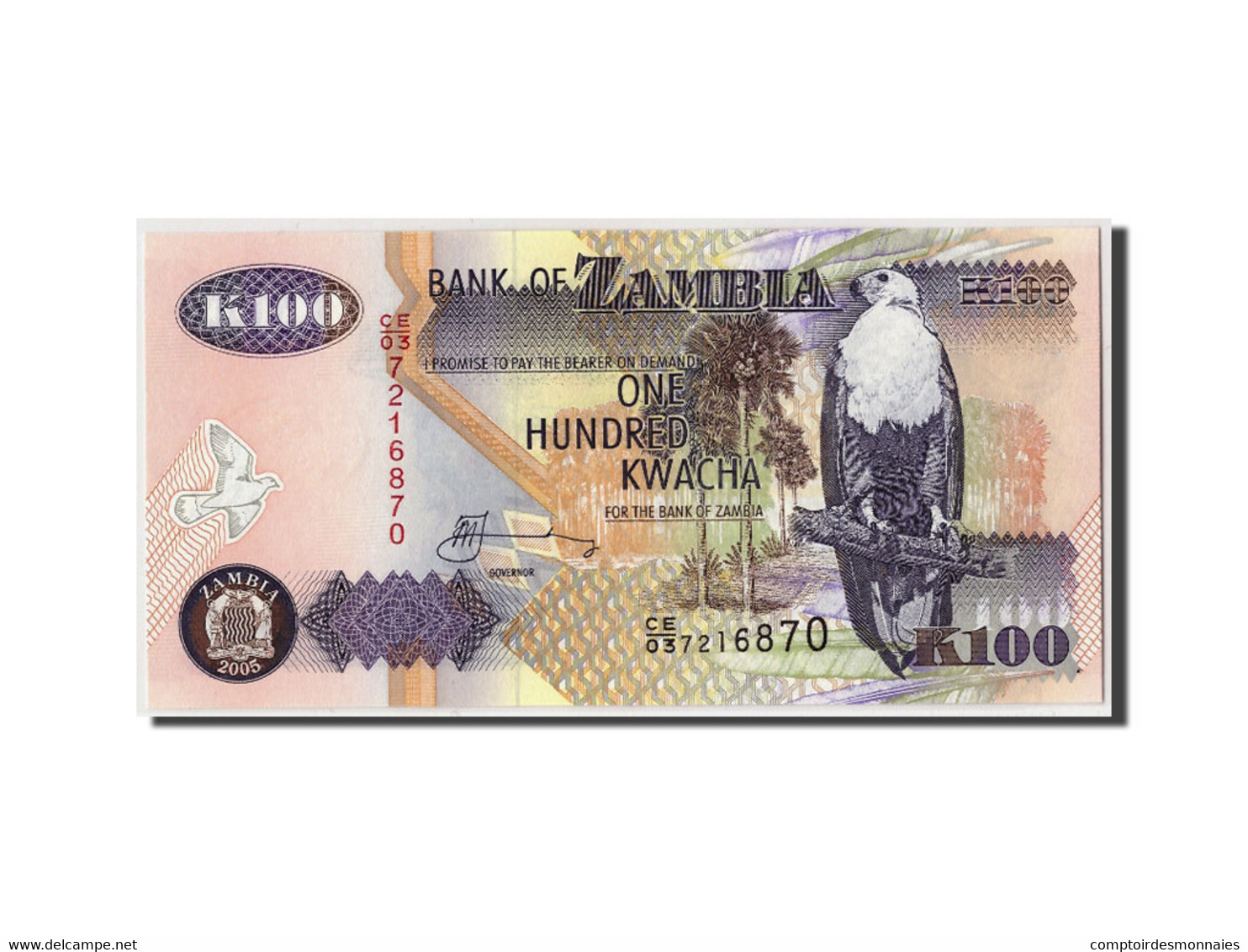 Billet, Zambie, 100 Kwacha, 2005, Undated, KM:38e, NEUF - Zambia