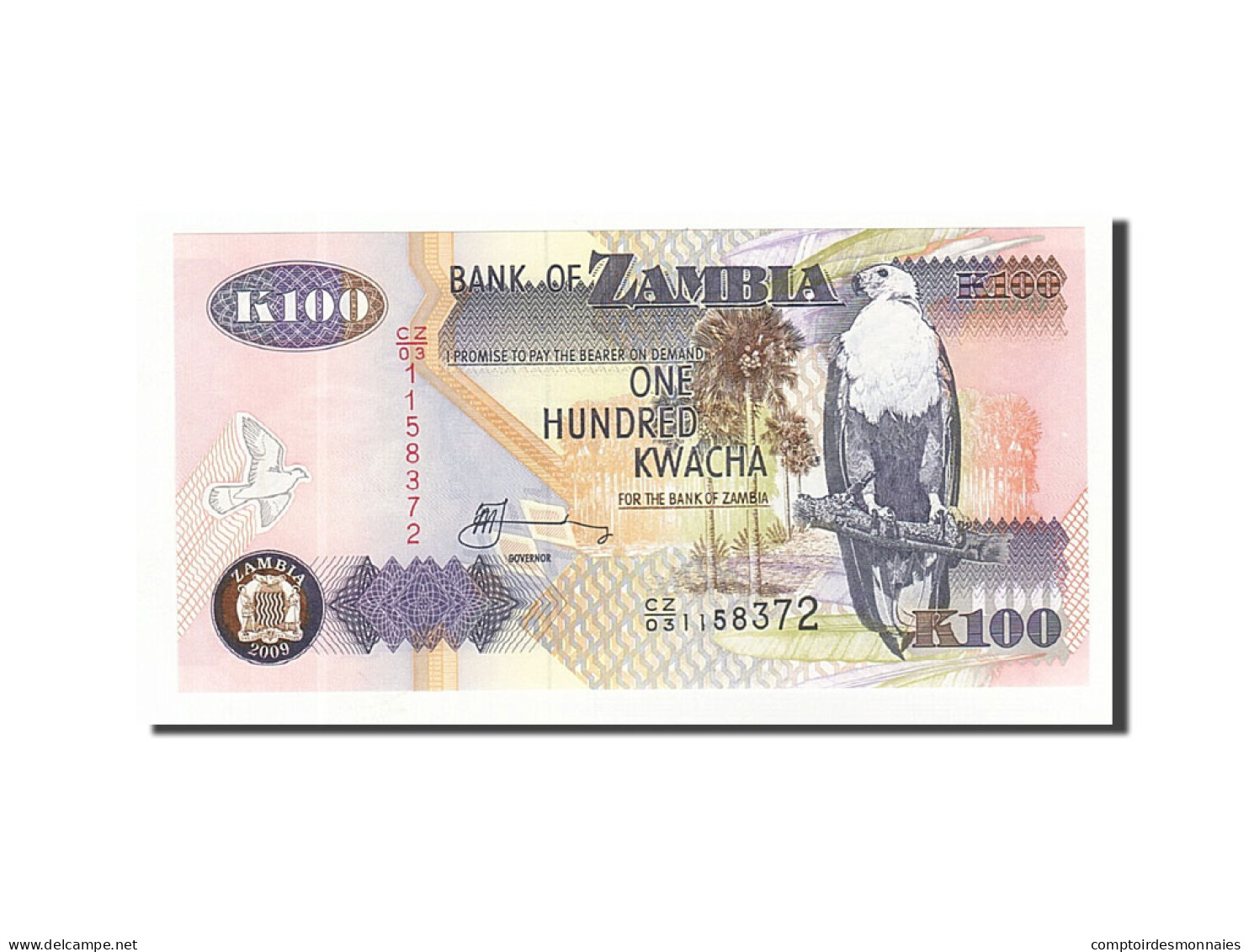 Billet, Zambie, 100 Kwacha, 1996, 2009, KM:38h, NEUF - Zambie