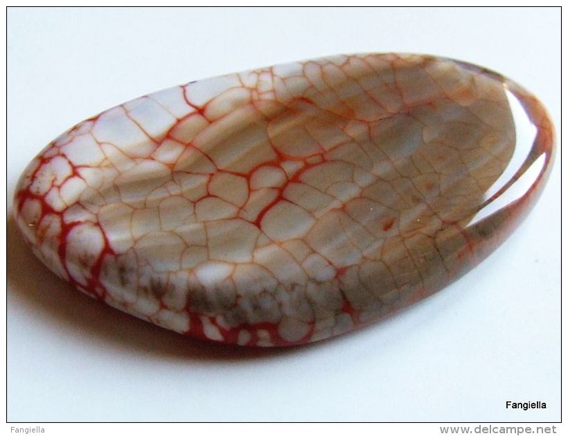 Cabochon Agate De Feu Pierre Semi-précieuse Orange Blanc Environ 49x28x6mm   Un Cabochon Très Original Et De Très Belle - Perles