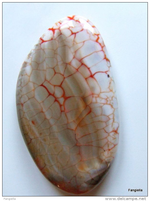 Cabochon Agate De Feu Pierre Semi-précieuse Orange Blanc Environ 49x28x6mm   Un Cabochon Très Original Et De Très Belle - Perlas