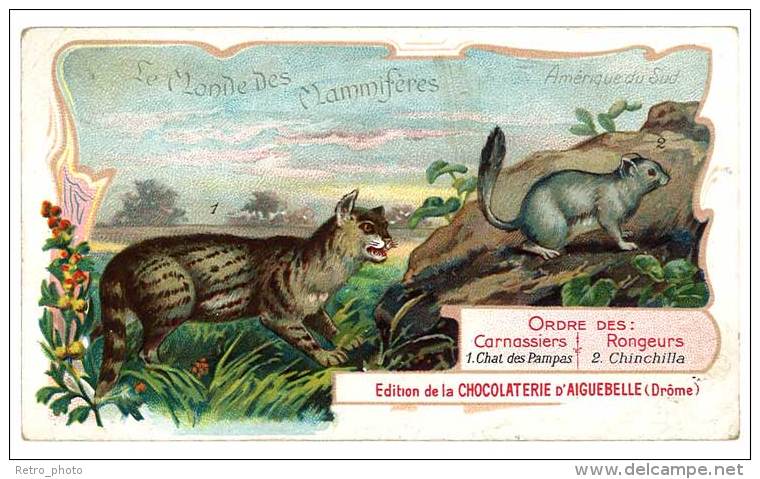 Chromo Chocolat Aiguebelle - Le Monde Des Mammifères - Amérique Du Sud, Carnassiers, Chinchilla Vulgaire,chat Des Pampas - Aiguebelle