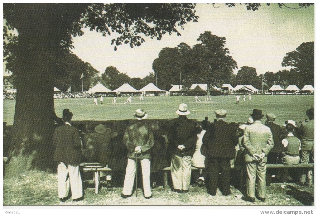 Nostalgia Postcard Modern -the Canterbury Cricket Festival 1938 - Cricket