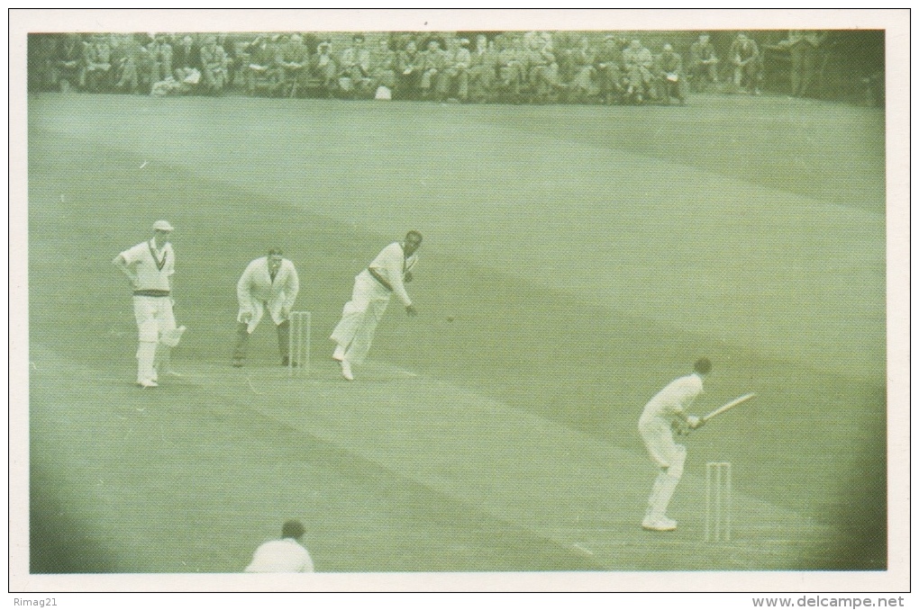 Nostalgia Postcard Modern -fine Weather Cricketers 1950 - Cricket